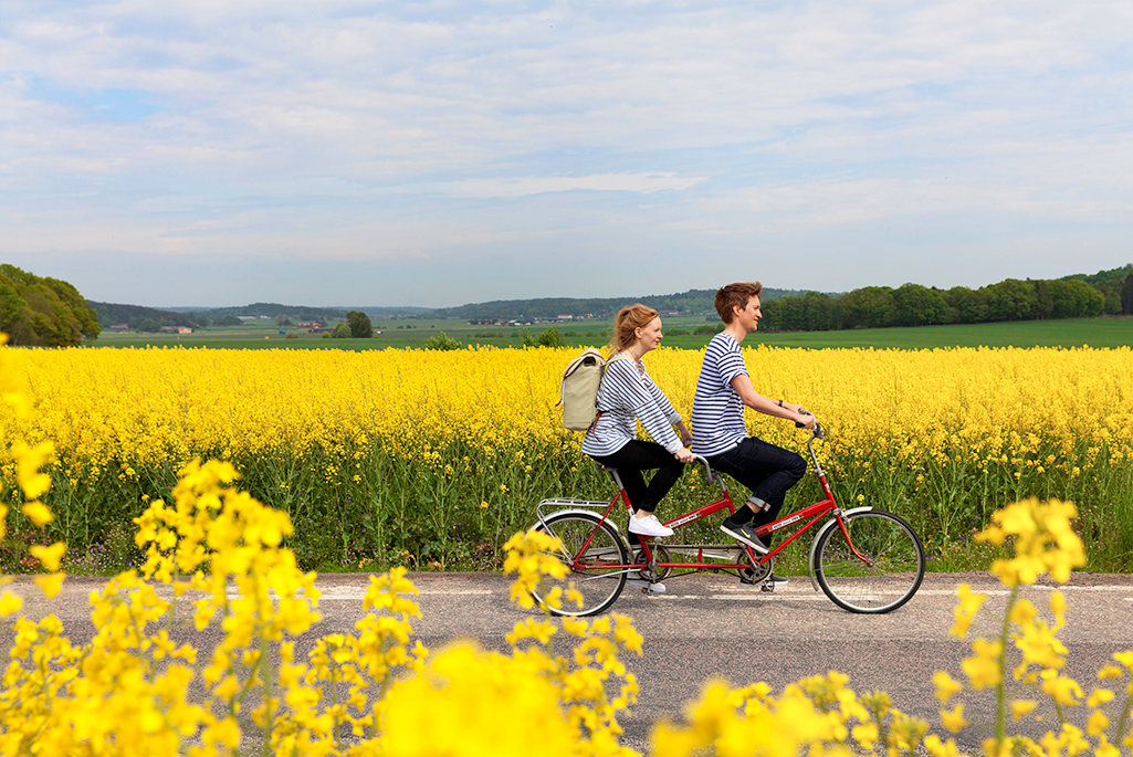 Foto på två personer som cyklar på en tandemcykel.