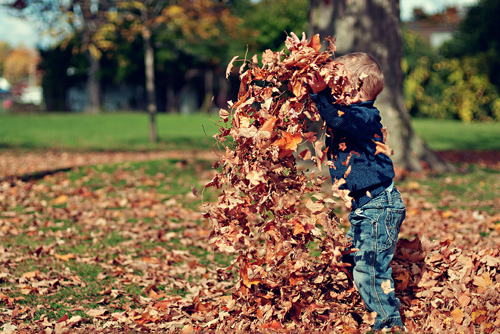 Foto på pojke som kastar upp höstlöv.